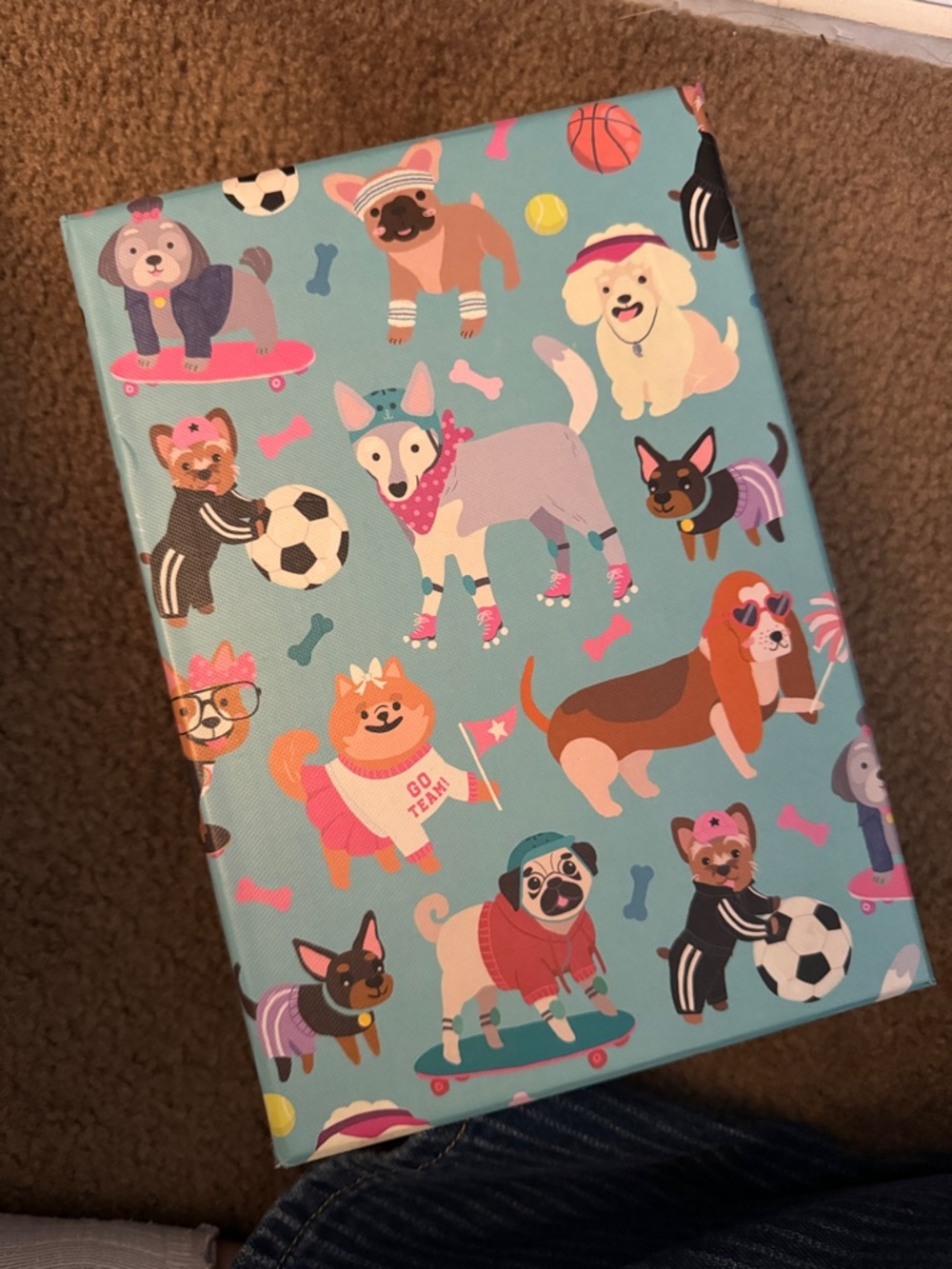 Blue Dog-Print box - Playful Pet Design